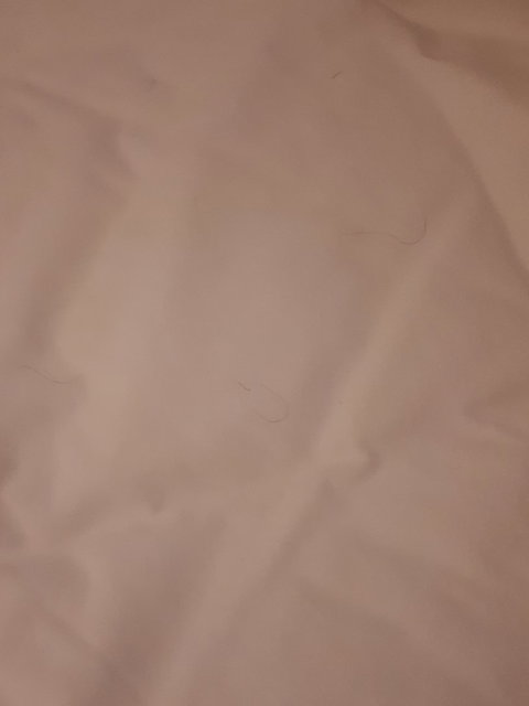 McCracken Country Club Restaurant - Sunshine Coast Tourism 3