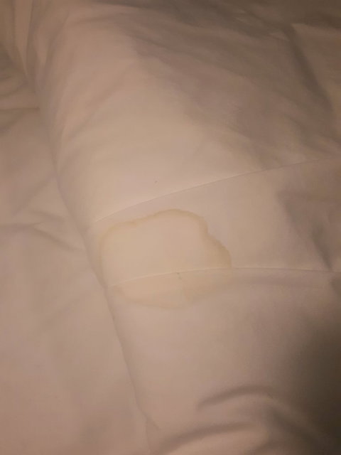 McCracken Country Club Restaurant - Sunshine Coast Tourism 5