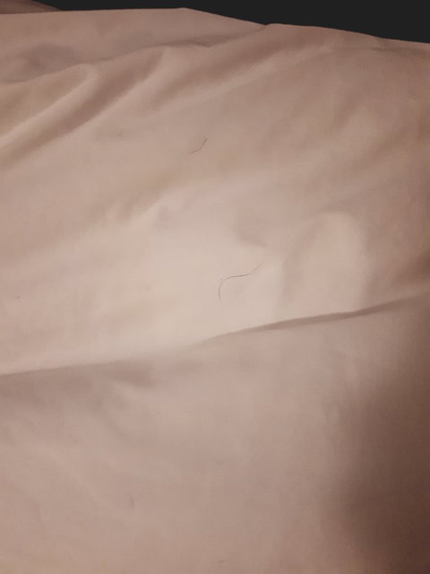 McCracken Country Club Restaurant - Sunshine Coast Tourism 7