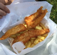 The Stunned Mullet - Holiday Sunshine Coast