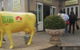 Udder Delights Cheese Cellar - thumb 6