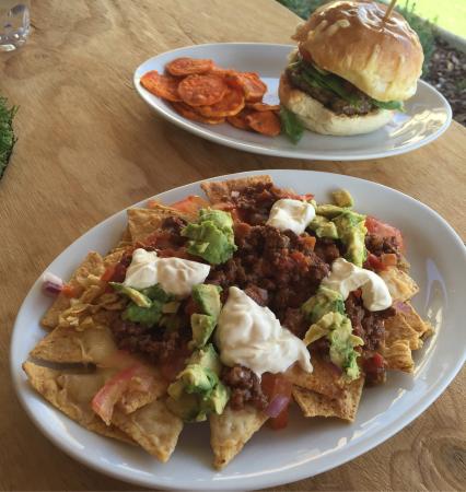 Alive And Well - Holiday Sunshine Coast 0