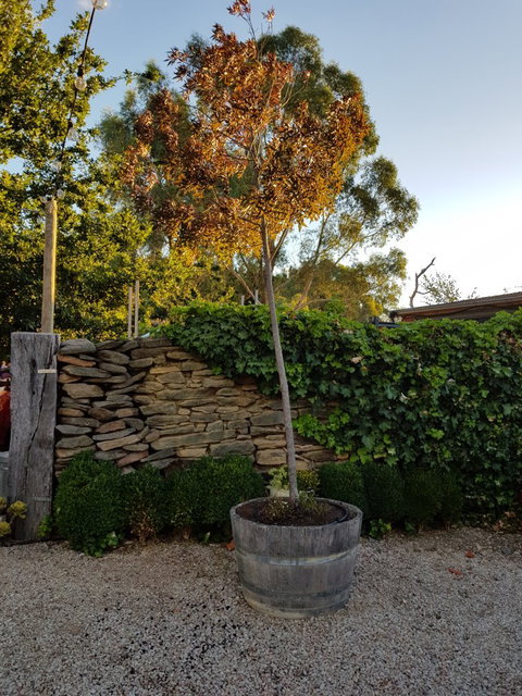 Barristers Block Cellar Door - Sunshine Coast Tourism 7