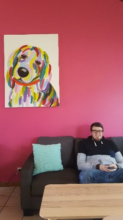 Fat Beagle Coffee Shop - Sunshine Coast Tourism 0