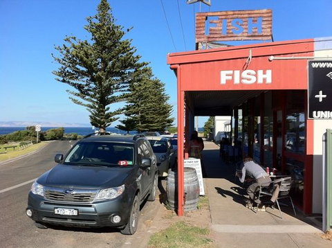 Fish - Sunshine Coast Tourism 0