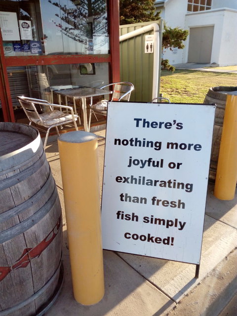 Fish - Sunshine Coast Tourism 5