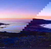 Howling Dog Tavern - Sunshine Coast Tourism