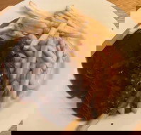 Mount Pleasant Hotel Motel - Sunshine Coast Tourism