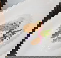 Oliver's Bar  Bistro - Sunshine Coast Tourism