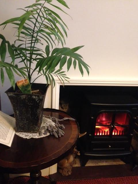 Palm Court Cafe Mannum SA - Sunshine Coast Tourism 3