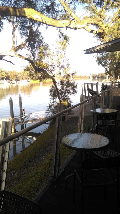 River Jacks Cafe - Sunshine Coast Tourism 4