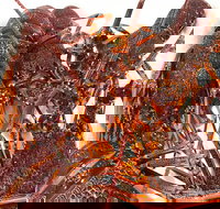 Sails Restaurant - Sunshine Coast Tourism