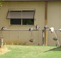 Sandy Grove - Sunshine Coast Tourism