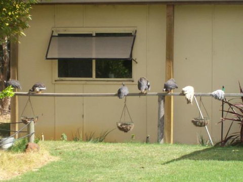 Sandy Grove - Sunshine Coast Tourism 0