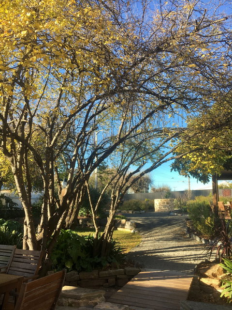 Velvet And Willow Wines - Sunshine Coast Tourism 5