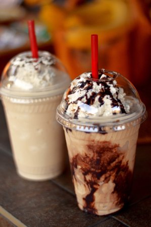  Holiday Sunshine Coast