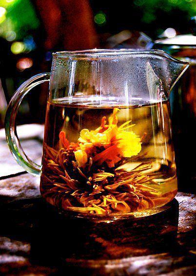 Coffee Sisters - Sunshine Coast Tourism 1