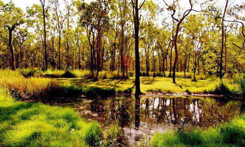 Coffee Sisters - Sunshine Coast Tourism 3