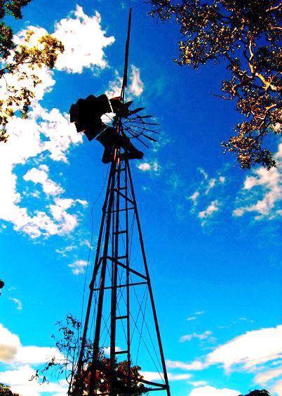 Coffee Sisters - Sunshine Coast Tourism 4