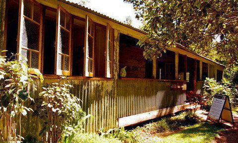 Coffee Sisters - Sunshine Coast Tourism 5