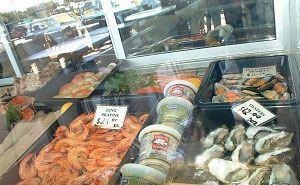 Coolum Seafoods - Sunshine Coast Tourism 7