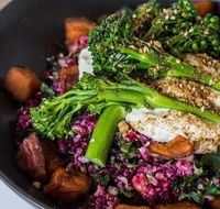 The Hungry Monkey - Holiday Sunshine Coast