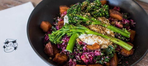 The Hungry Monkey - Holiday Sunshine Coast 0