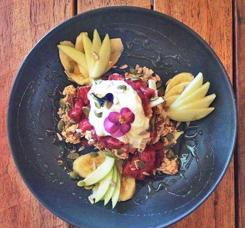 The Hungry Monkey - Holiday Sunshine Coast 11