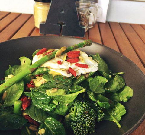 The Hungry Monkey - Holiday Sunshine Coast 12