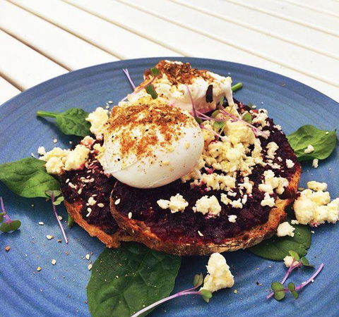 The Hungry Monkey - Holiday Sunshine Coast 15