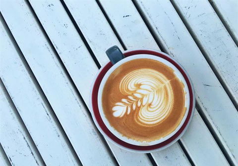 The Hungry Monkey - Holiday Sunshine Coast 16