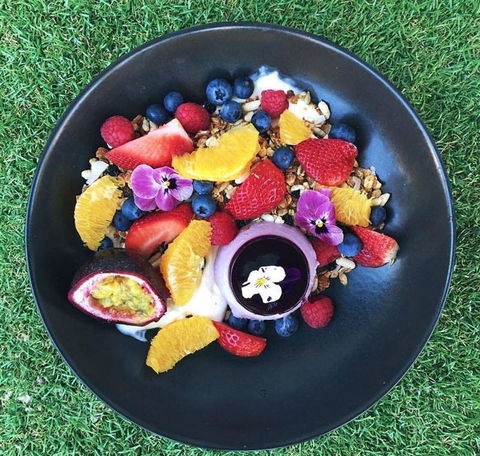 The Hungry Monkey - Holiday Sunshine Coast 17
