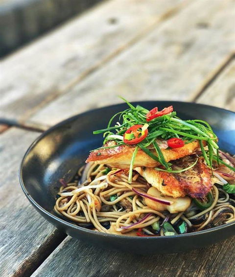 The Hungry Monkey - Holiday Sunshine Coast 19