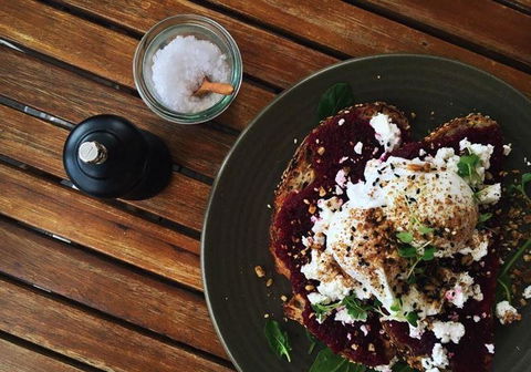 The Hungry Monkey - Holiday Sunshine Coast 7