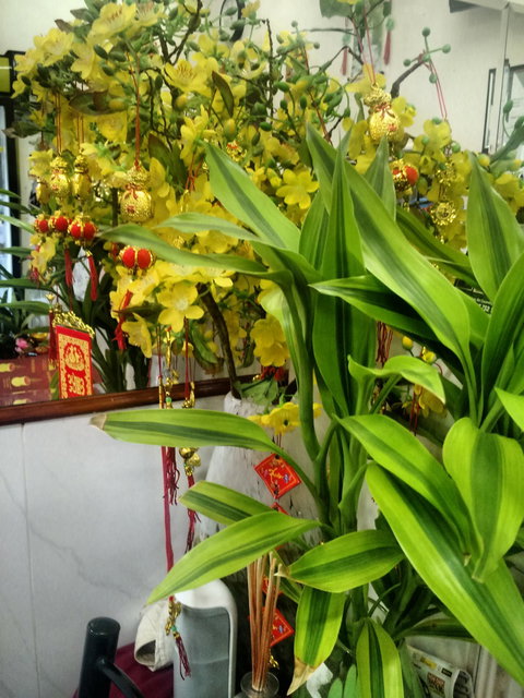 Kim Son - Sunshine Coast Tourism 3