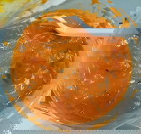 Touch of India - Sunshine Coast Tourism