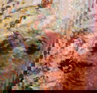 Surfside Pizza - Sunshine Coast Tourism