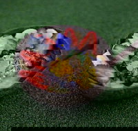 WIA Cafe - Sunshine Coast Tourism