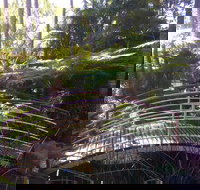 Lorikeet's Coffee Shop - Sunshine Coast Tourism