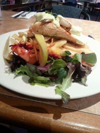 Holiday Sunshine Coast