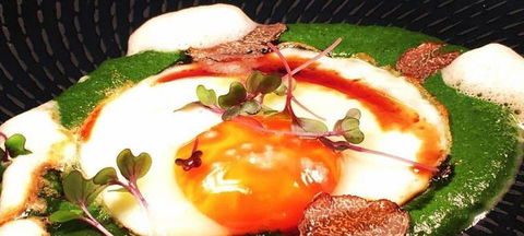 Aquavue Cafe Watersports - Holiday Sunshine Coast 2