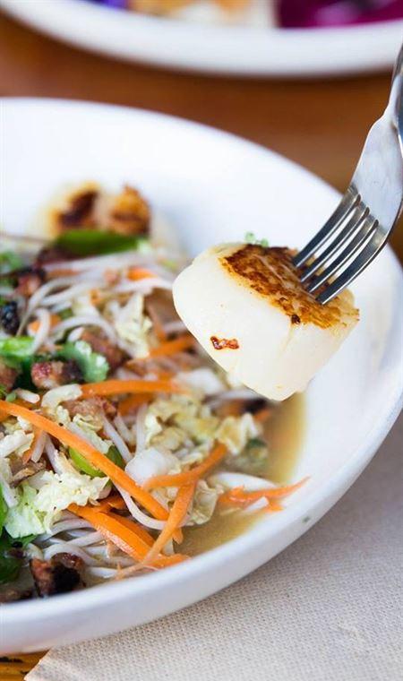 Milk Cafe - Sunshine Coast Tourism 4
