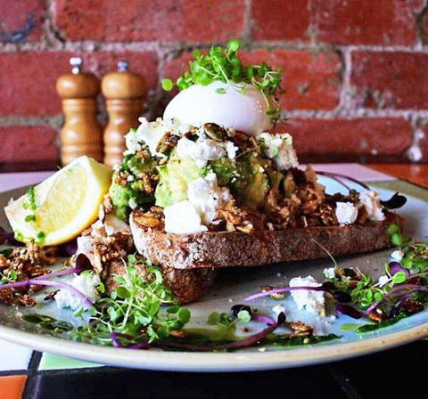 Milk Cafe - Sunshine Coast Tourism 6
