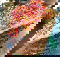 Brew  Scoop - Sunshine Coast Tourism