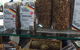 German Bakehouse - thumb 5