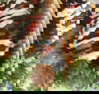 Kisseafoods - Sunshine Coast Tourism