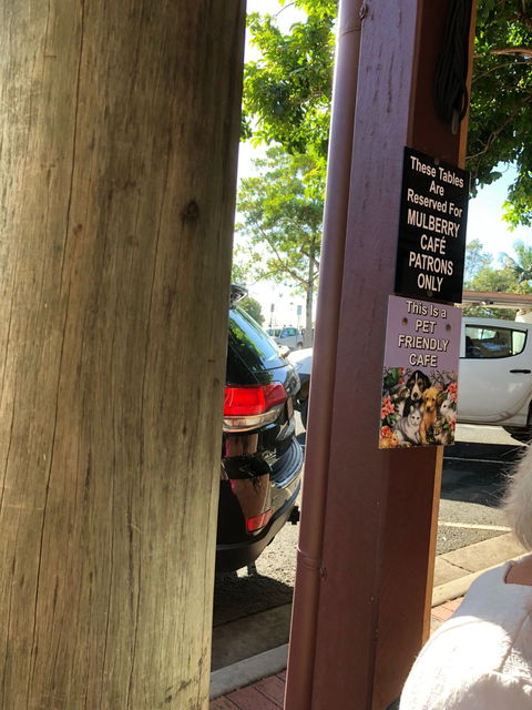 Mulberry Cafe - Holiday Sunshine Coast 4