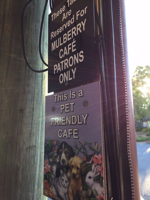 Mulberry Cafe - Holiday Sunshine Coast 6