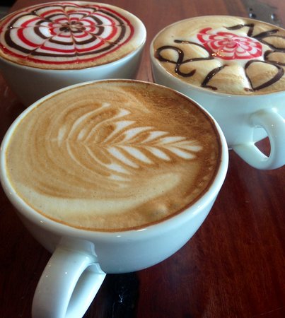 Sunshine Coast Tourism