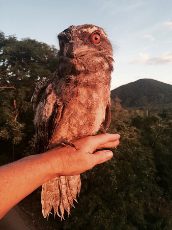 Cafe Anywhere - Sunshine Coast Tourism 0